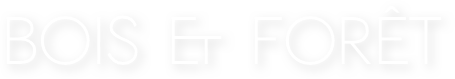 Bois & forêt
