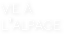 VIE à l’alpage